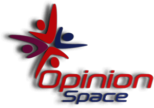 Opinion Space